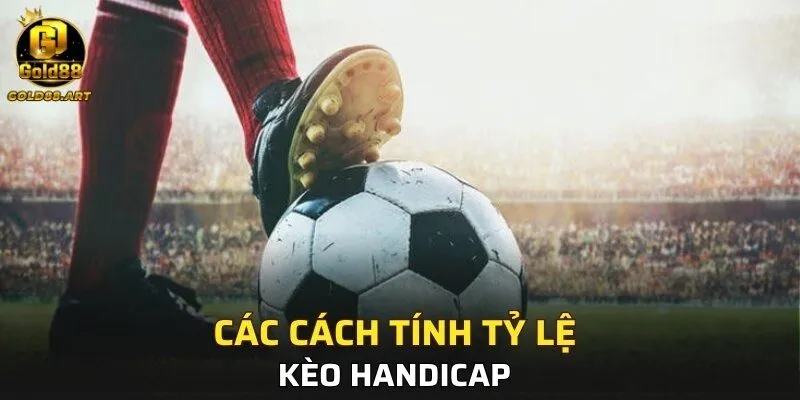 Các cách tính tỷ lệ kèo Handicap