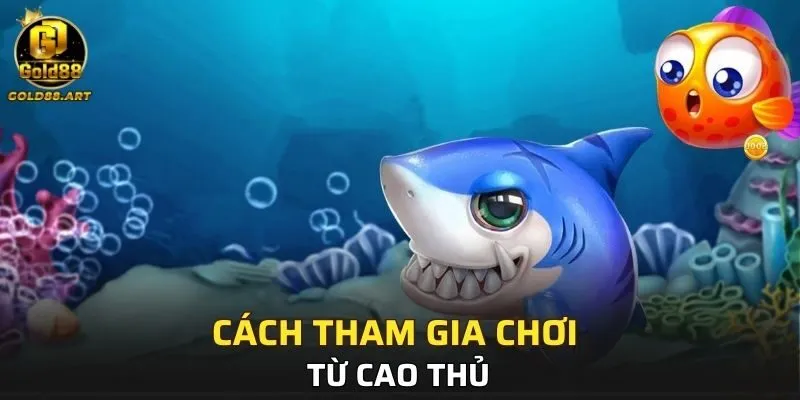 Cách tham gia chơi từ cao thủ
