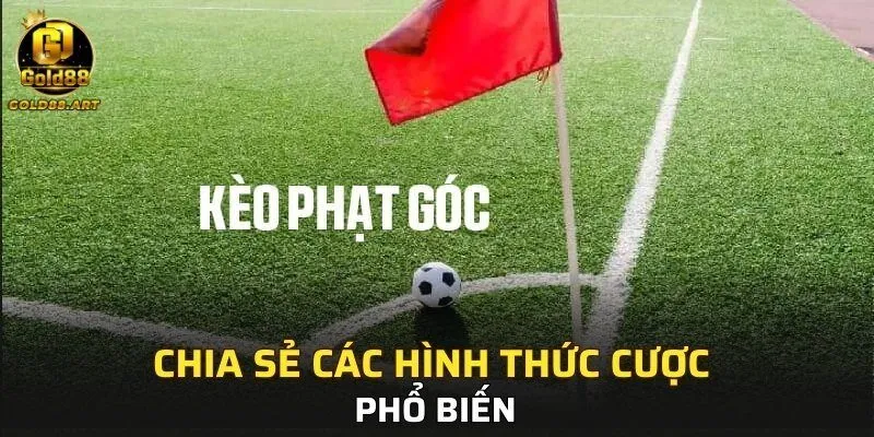Chia sẻ các hình thức cược phổ biến