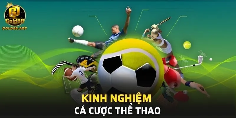 Chia sẻ kinh nghiệm cá cược thể thao hiệu quả tại GOLD88