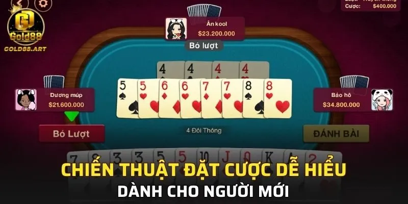Chiến thuật đặt cược dễ hiểu dành cho người mới