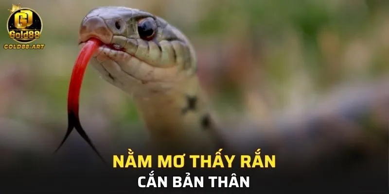 Giấc chiêm bao xà cừ cắn bản thân
